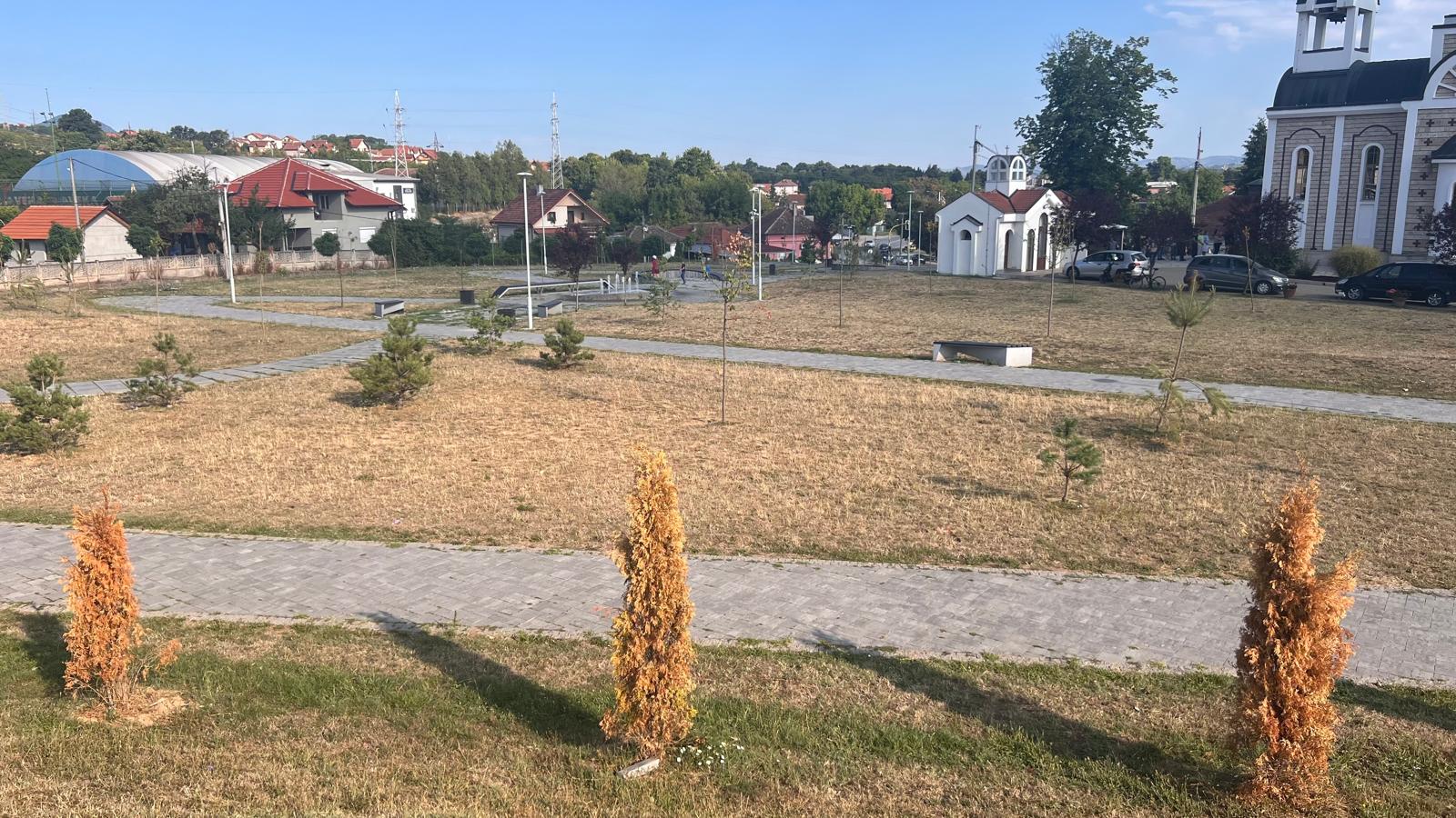 avenija2