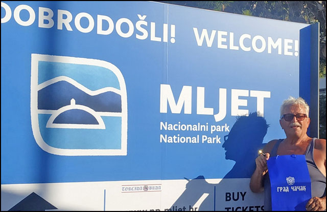 mljet cvorak