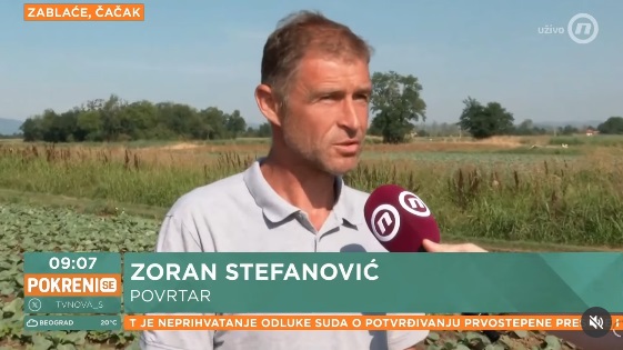 zoran stefanovic