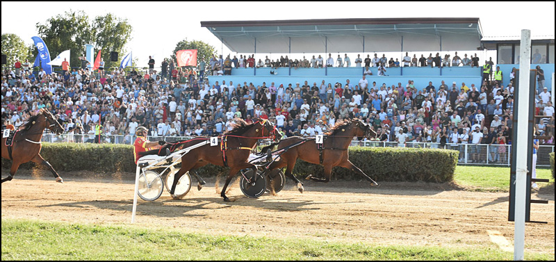 Konjički sport: tradicija Ljubičeva 2 Amy del Duomo broj 7