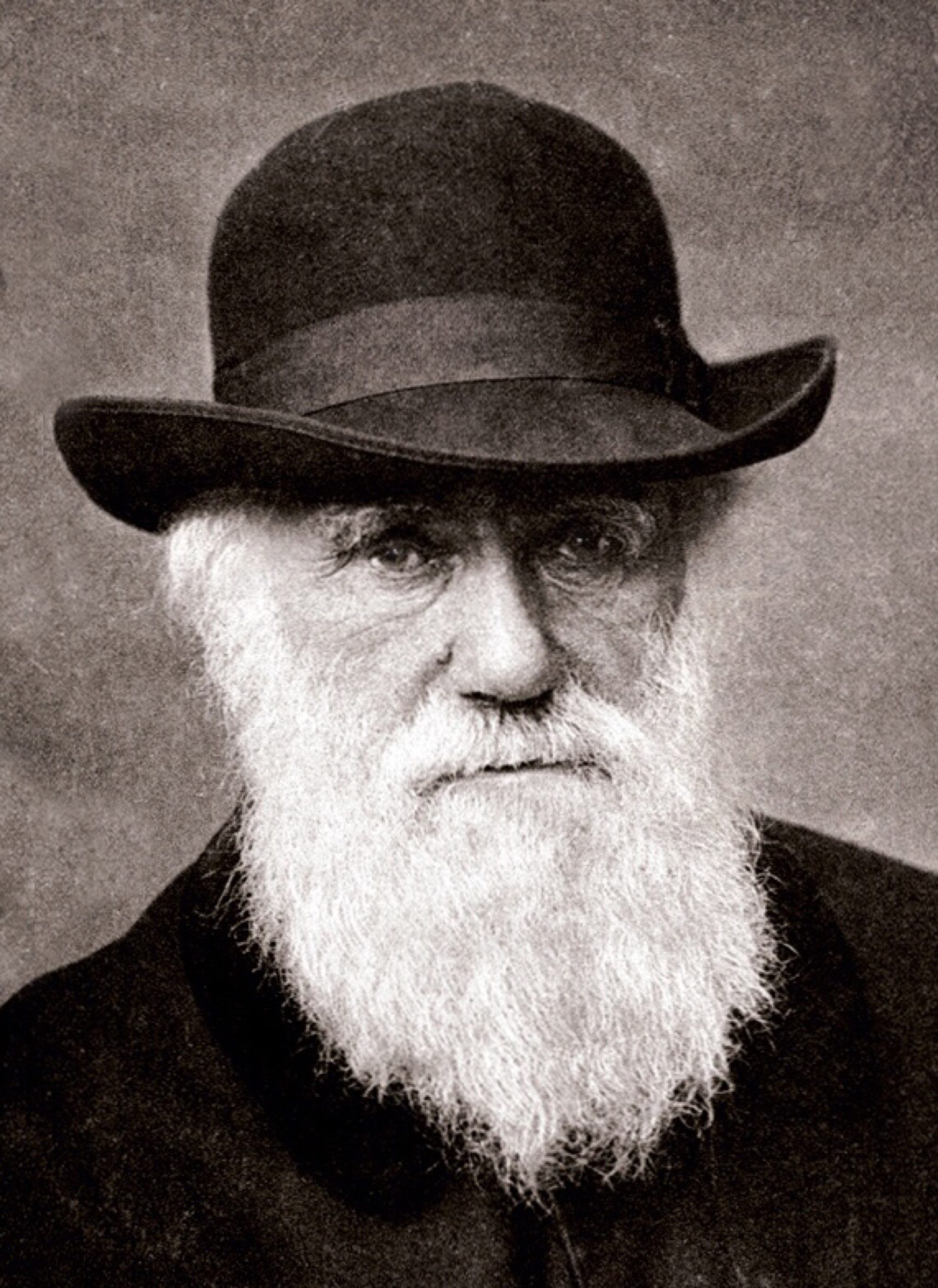 Charles Darwin 1880 scaled