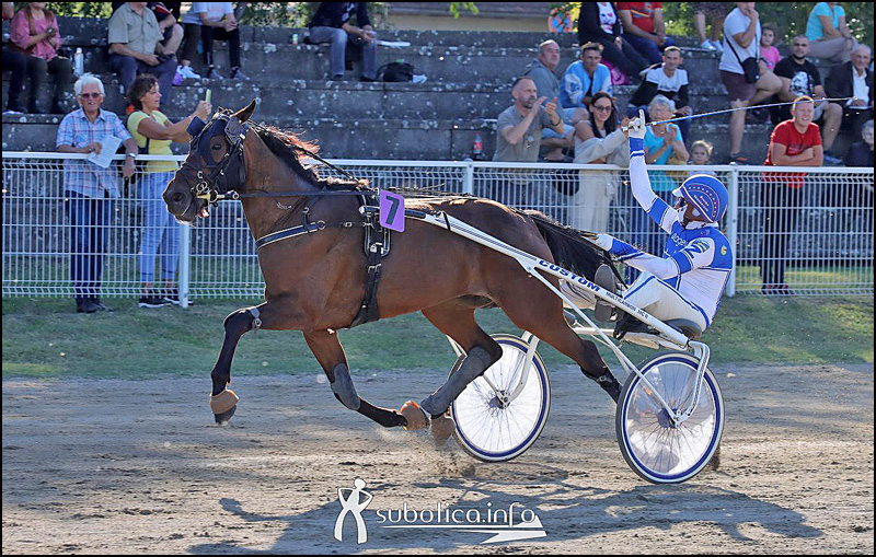 konjicki sport