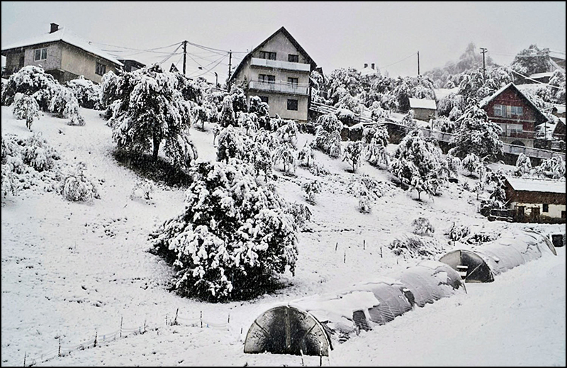 Nova Varos Foto Varoske novine
