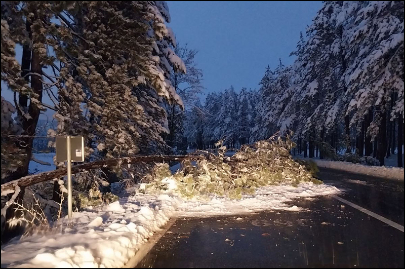 Zlatibor Foto Patrole Zlatiborskog okruga