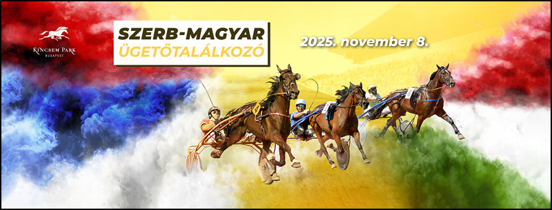 Konjički sport: susret Mađarske i Srbije 1 HU RS susret800