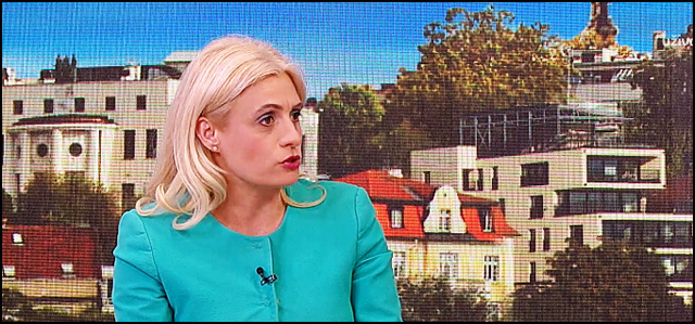 Jelena Pavlovic advokat