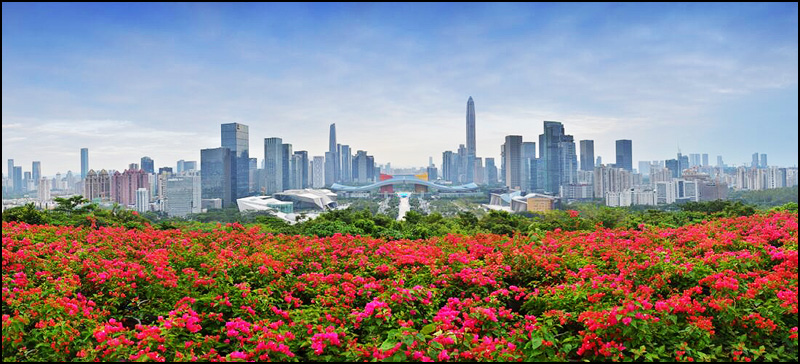 Kina 6