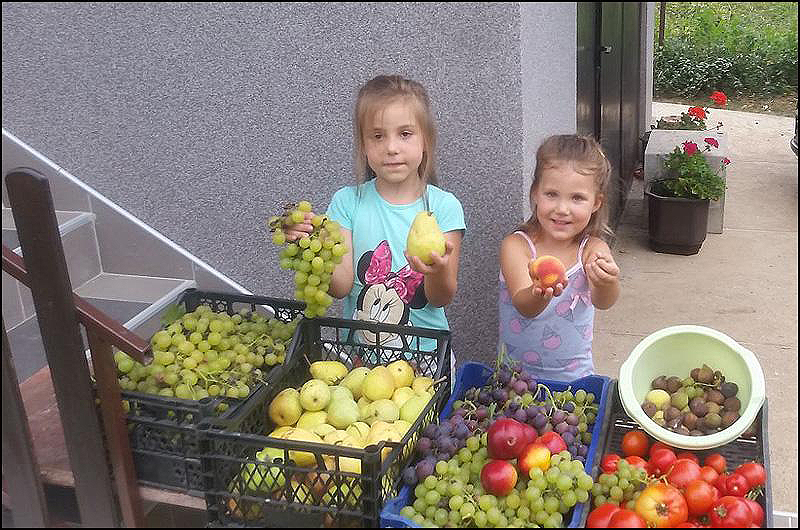 Kinezi zaobišli Čačak, ali "kinezacija" nije 4 Rajkove unuke