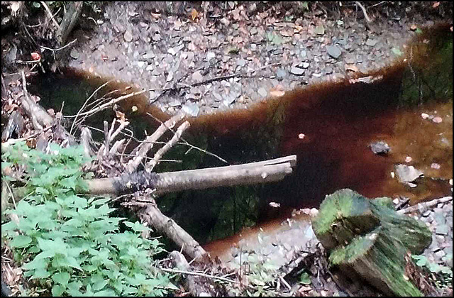 Turski potok ekološki mrtav, užička vlast i Zavod za javno zdravlje o tome ćute 5 Turski potok Foto Da NE disemo Duboko