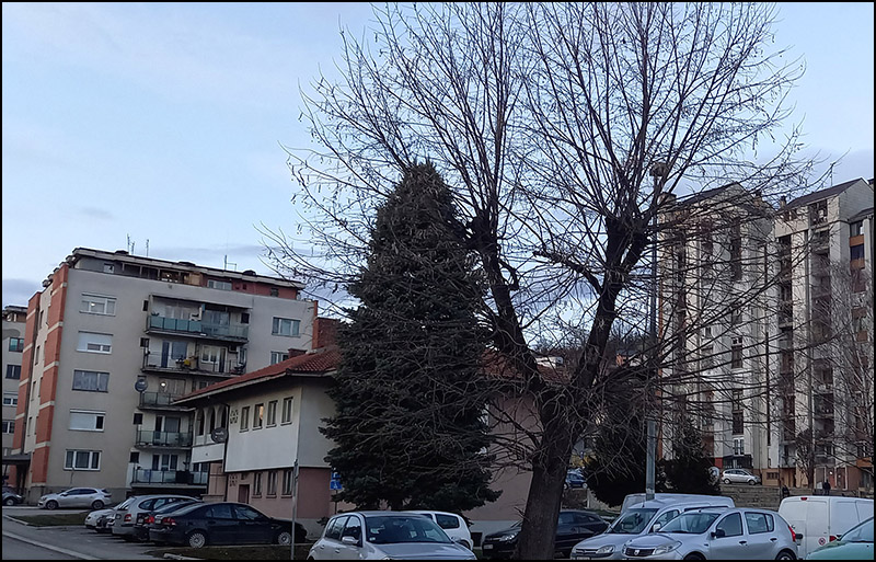 Sevojno Foto Nenad Kovacevic