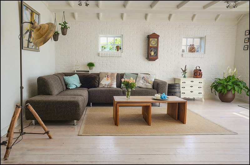 dnevni boravak sofa biljke