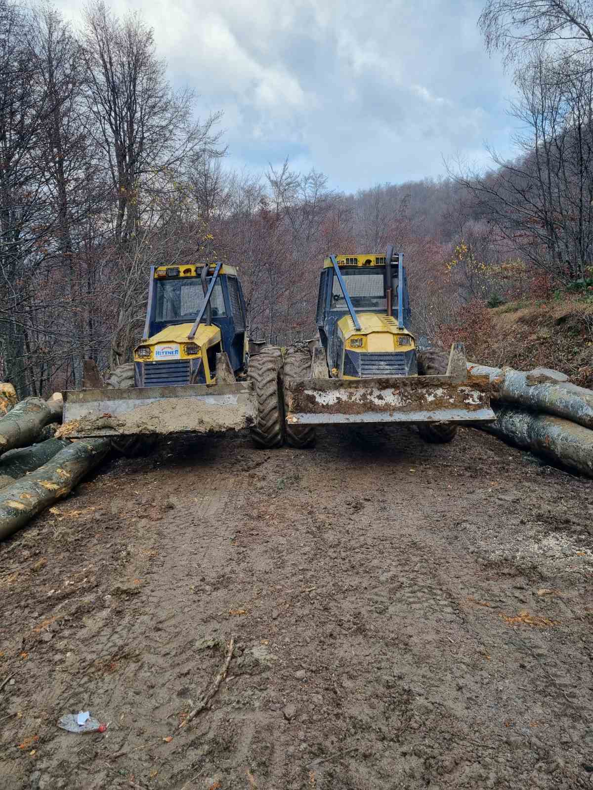 ivanjica1