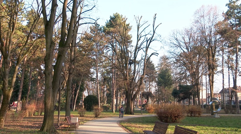 kobasice
