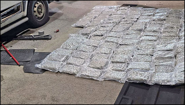 Na granici Srbije i Crne Gore zaplenjeno više od 60 kg marihuane 1 Foto MUP SRbije