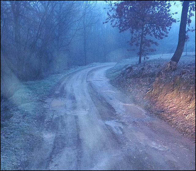Pismo familije Vlajković 2 Viljusa 4