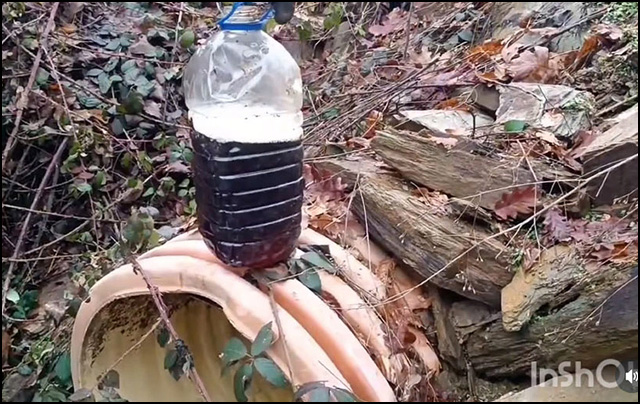 Voda iz Turskog potoka Foto Da ne diseno Duboko