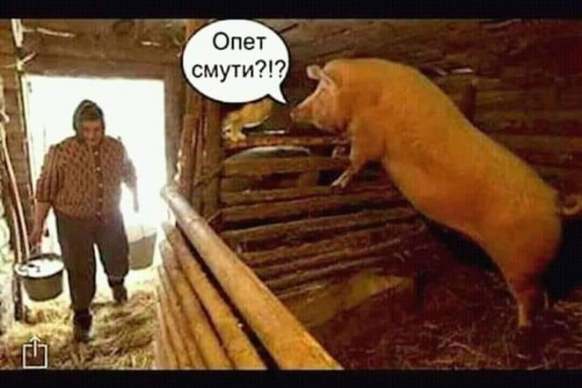 humor
