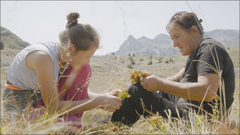 Still Planina 2 foto Eva Kraljevic