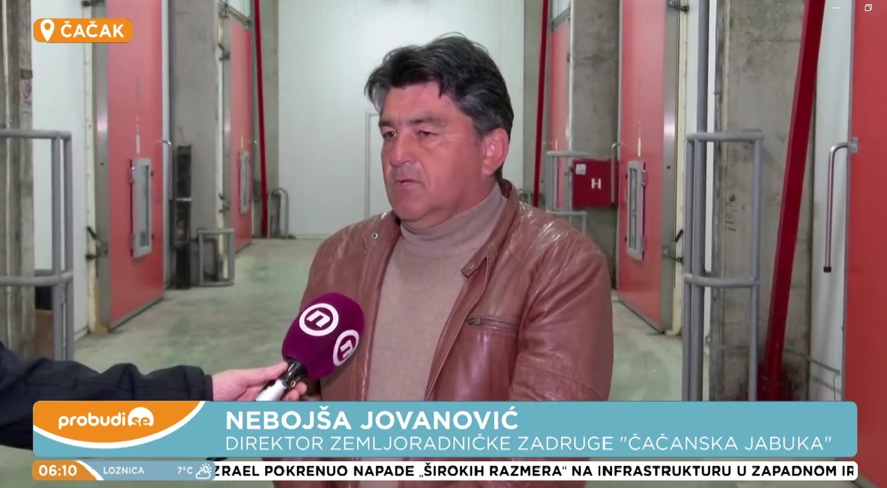 nebojsa jovanovic