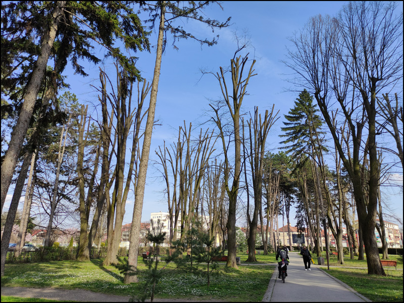 park