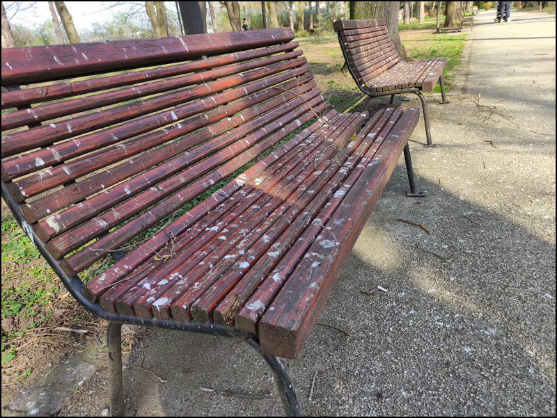 ptice park 3
