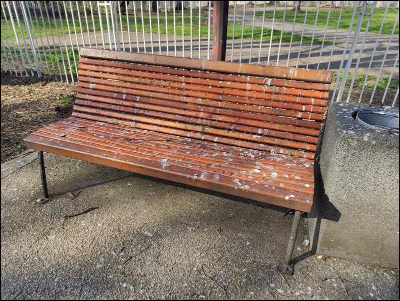 ptice park 4