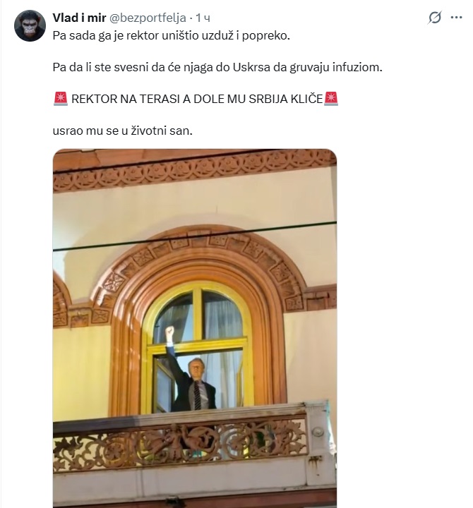 rektor13