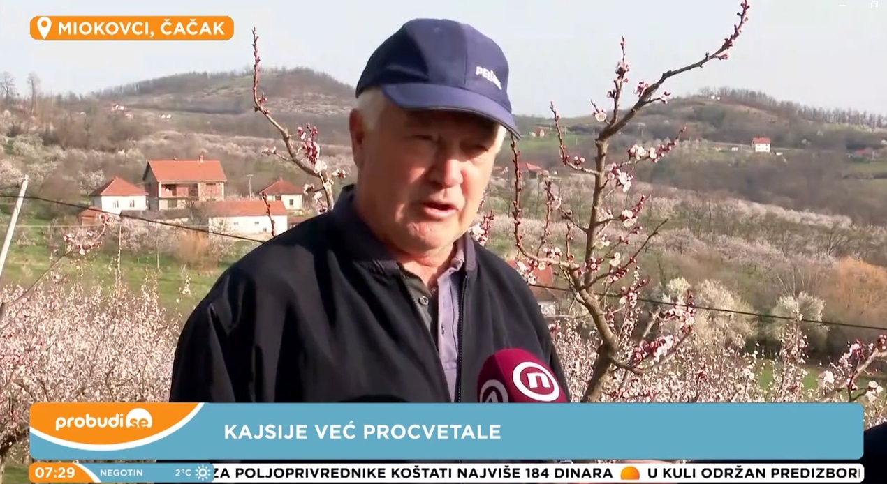 vojkan