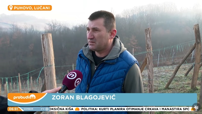 zoran b