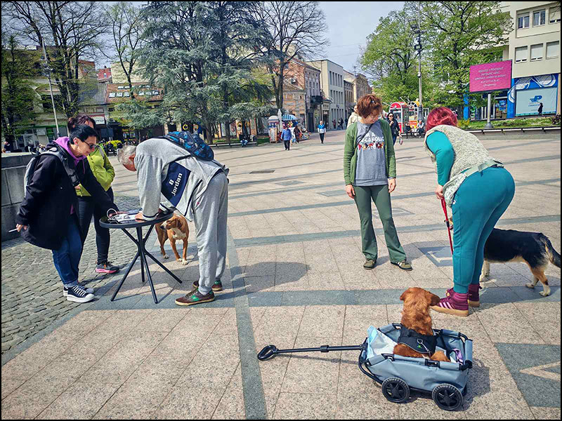 pas peticija 3