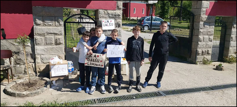za balsu 7