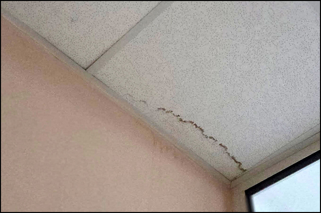 Foto Inicijativa za Pozegu 2