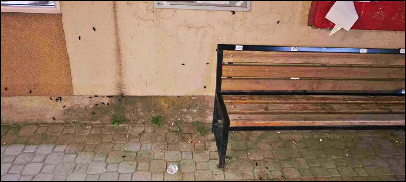 bubasvabe 1