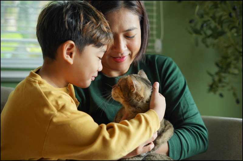 Kućni ljubimci kao saveznici u mentalnoj higijeni 2 iStock 2187233198