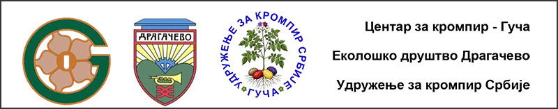 krompir Guca 2