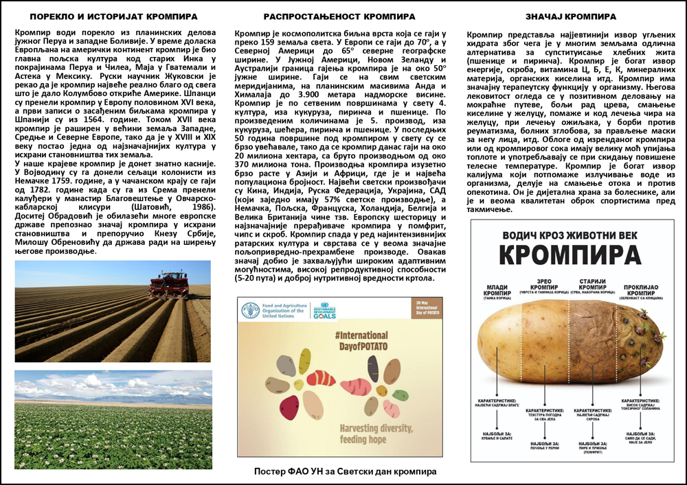 2 Flajer Trece obelezavanje Svetski dan krompira u Srbiji page 0002