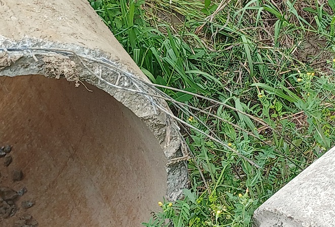 Cev Foto Privatna arhiva 1