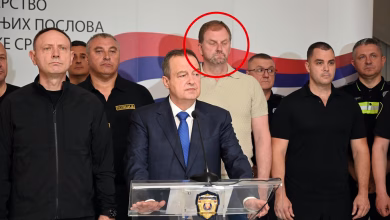 ivica daci.format avif.width 1200