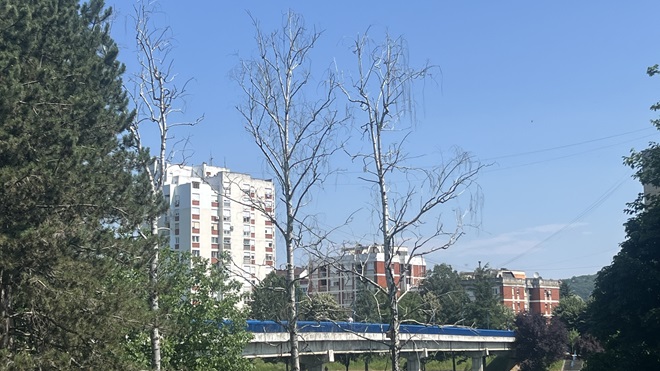 kej