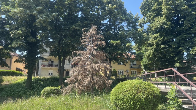 kej7