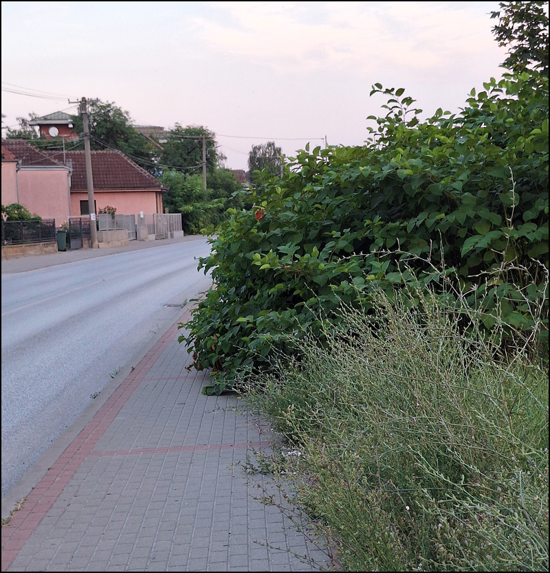 DZ u Ljubicu 2