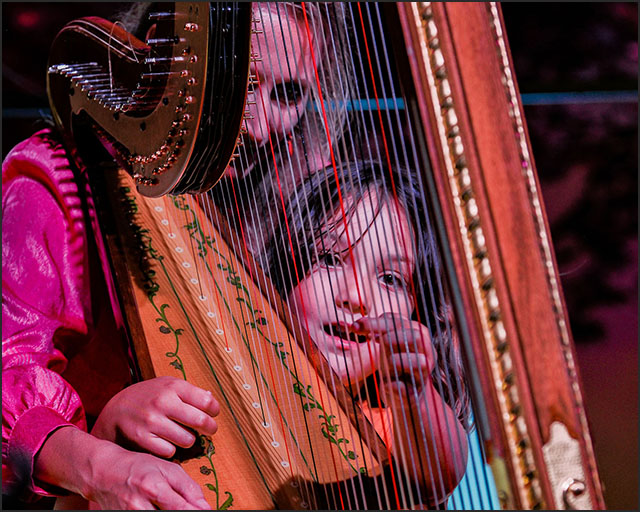 Sedam dana vrhunske umetnosti, muzike i obrazovanja 2 Foto Danica Radosavljevic 1