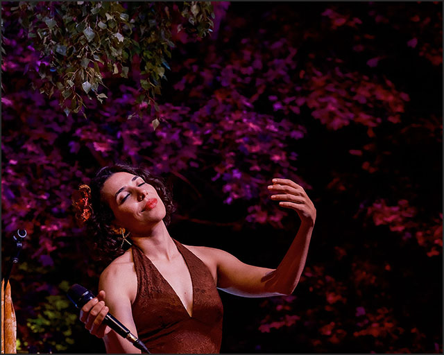 Sedam dana vrhunske umetnosti, muzike i obrazovanja 3 Foto Danica Radosavljevic