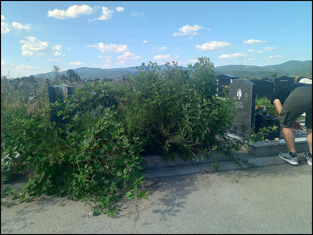 Kraljevo: Neodržavanje grobnih mesta 1 KV groblje 1
