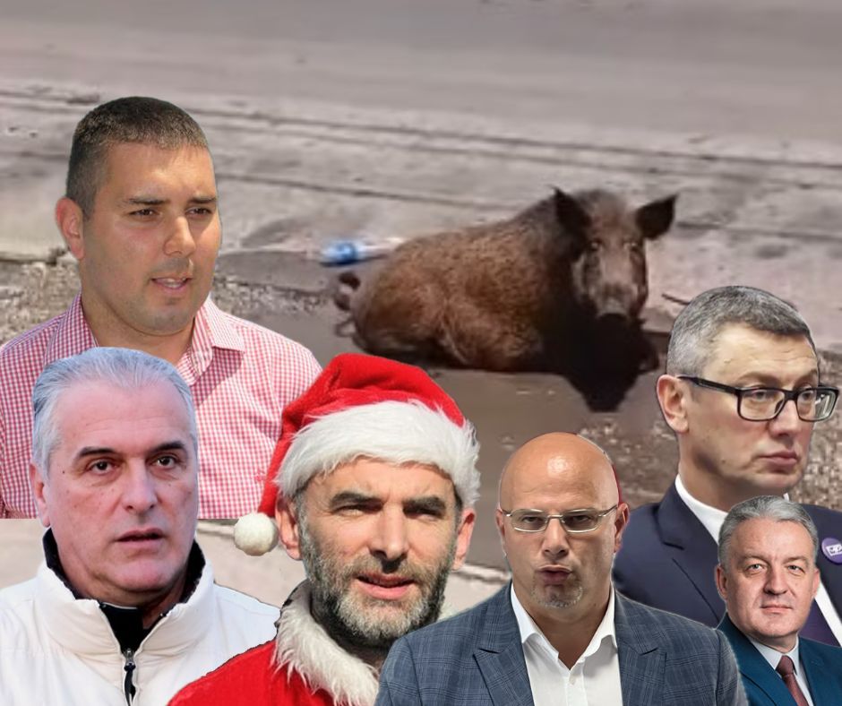 Divlja svinja se banja u centru Mrčajevaca (VIDEO) 1 Nenaslovljeni dizajn 1