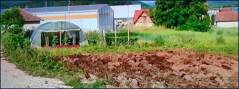 Opet napad na porodicu Milivojević 1 Povrtnjak