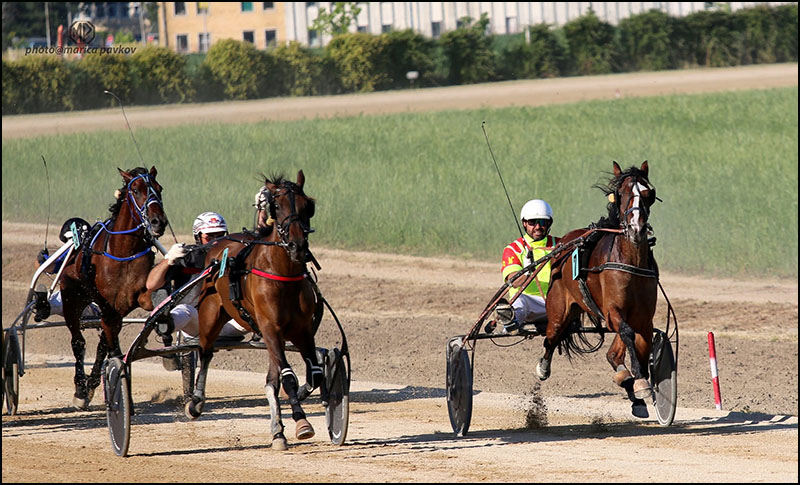Probni derby 2025 Sombor 800