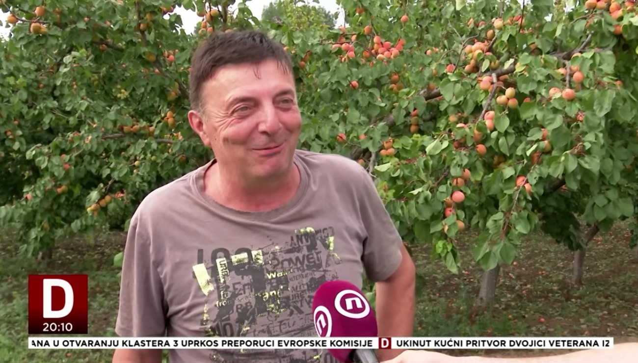 VUCICEVIC