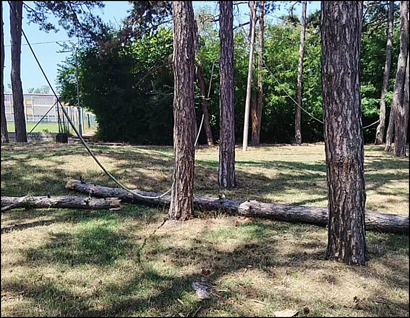 park i zice